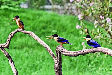 《地下城与勇士：决斗》现身Steam后台 6月28日正式发售