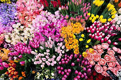 《犹大》要活了？生化奇兵之父新工作室招募游戏总监